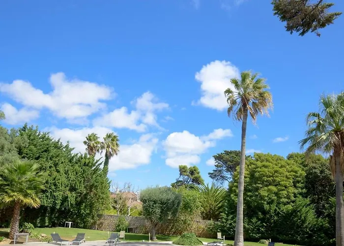 Bafureira 22 Rooftop Parede